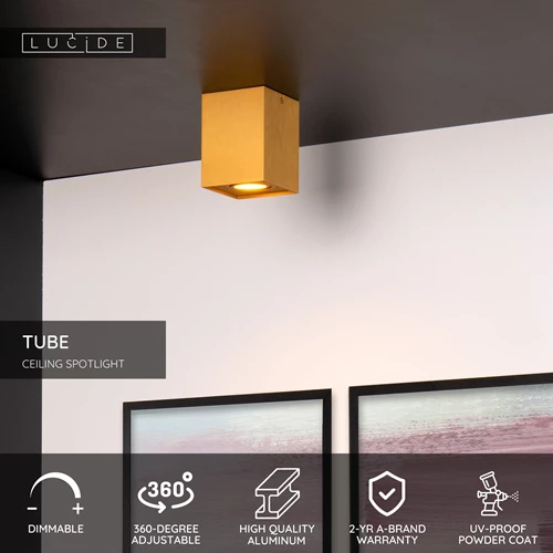 Lucide TUBE - Ceiling spotlight - 1xGU10 - Matt Gold / Brass - USP